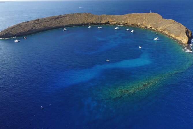 Super Raft - Private Charter Maui 3 Hour Snorkel to Coral Gardens or Molokini - Customization Options for Your Trip