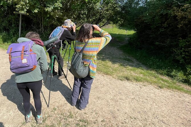 Sussex Birdwatching Private Guided Day Tour - Reviews