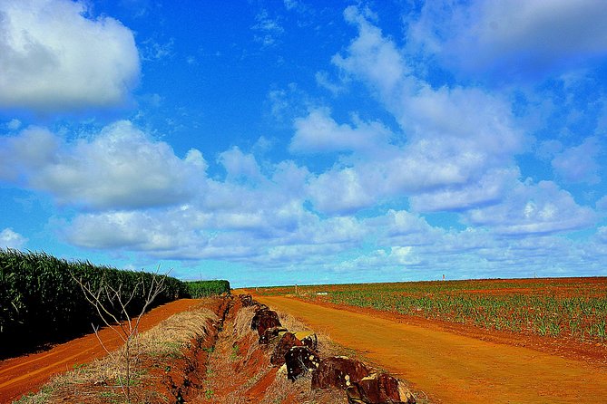 Sweet Scenic 30KM - Frequently Asked Questions