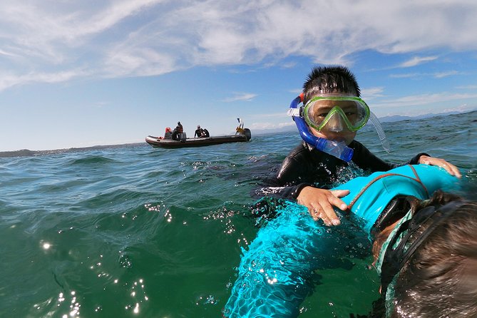 Swim With Seals - Health and Safety Guidelines