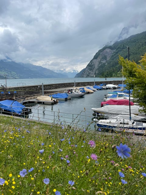 Switzerland From Expert. Daily or Hourly Tours - Multilingual Tour Guides Available