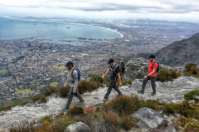 Table Mountain Adventurous Hike & Cable Car Down - Customer Experiences