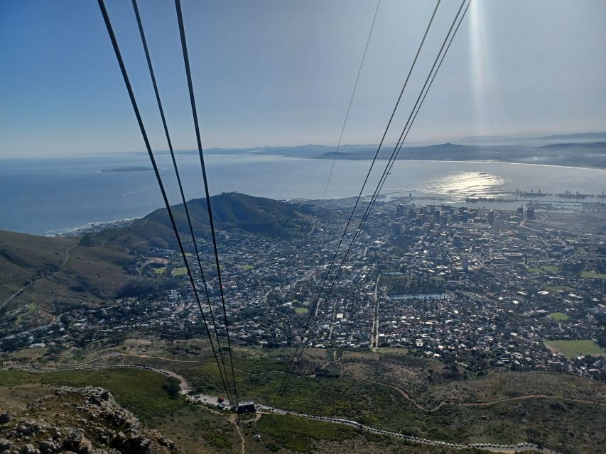 Table Mountain, Cape of Good and And African Penguin Daytour - Visiting Cape of Good Hope