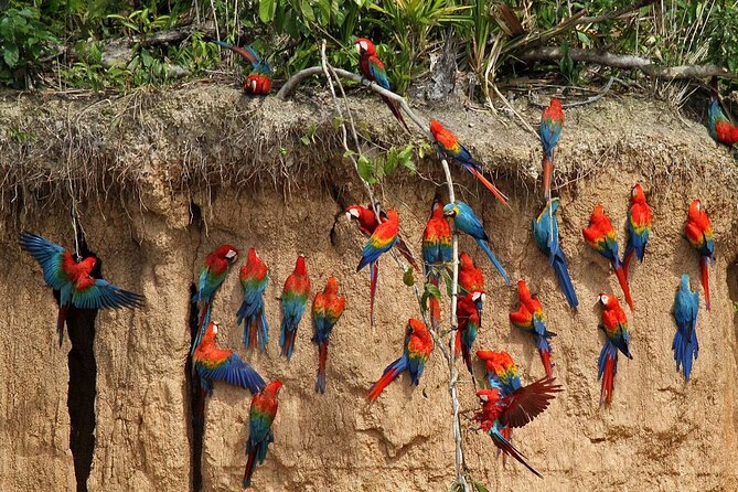 Tambopta National Reserve 5 Days Tour - Practical Tips and Considerations