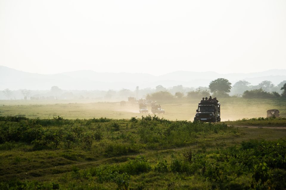 Tangalle/Hiriketiya: Yala National Park Safari in a 4x4 - Tour Inclusions