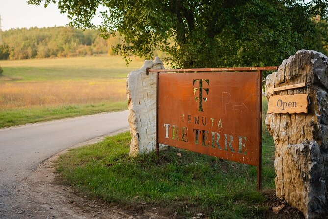 Taste of Istria - Wine, Brandy, Vinegar, Local Food - About the Experience
