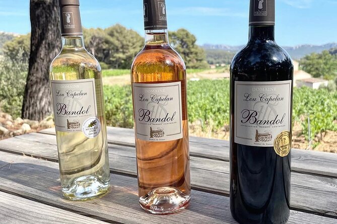 Tasting Bandol Wines & Visit of Cellar (in English) - Additional Tour Information