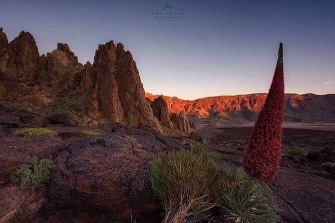Teide 1/2 Day - Tips for a Great Tour