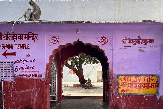 Temples Walk Around 52 Ghats ( Spiritual Tour )-The Pushkar Route - Visitor Reviews and Experiences