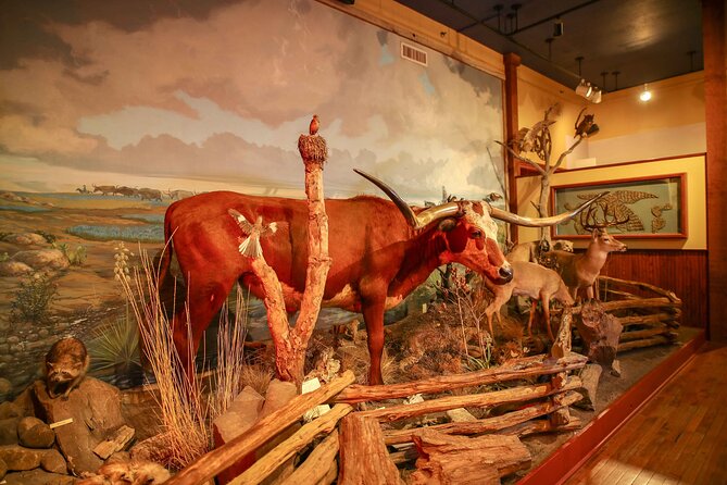 The Buckhorn Saloon & Museum and Texas Ranger Museum Admission - Planning Your Visit