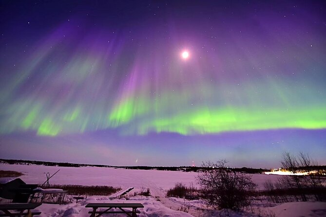 The Greatest Valuable Aurora Manor & Hunting Tour --Exclusive Tour Operator - Why Choose This Tour