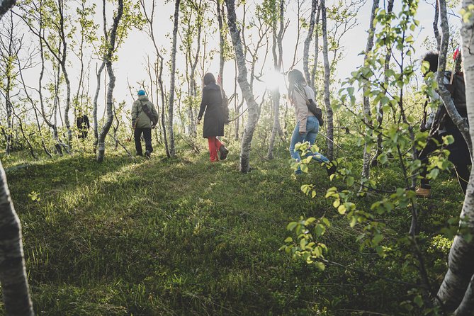 The Nature Bow Game - Hiking and Archery in the Nature - Pricing and Booking Options