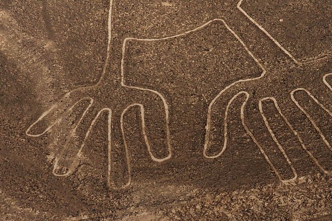 The Nazca Lines Flight Tour & Huacachina Oasis - Private Trip - Pricing and Booking Details