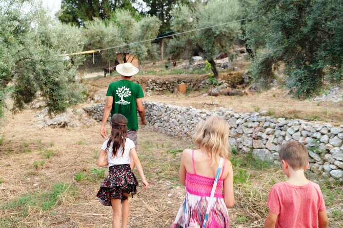 The Olive Oil Experience @ Lefkada Micro Farm - Guest Reviews and Recommendations