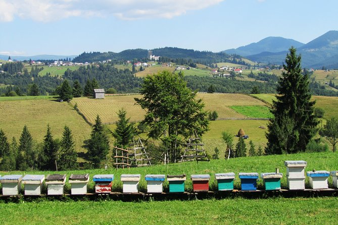 The Wine Route by Bike - Customer Reviews