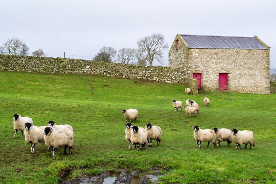 The Yorkshire Dales Tour From York - What to Bring and Prepare