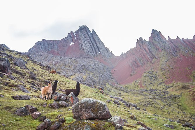 Tour to Rainbow Mountains of Peru; 1 Full Day - Departure and Transportation
