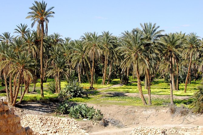 Tozeur and the Mountain Oasis - Booking Details and Tips