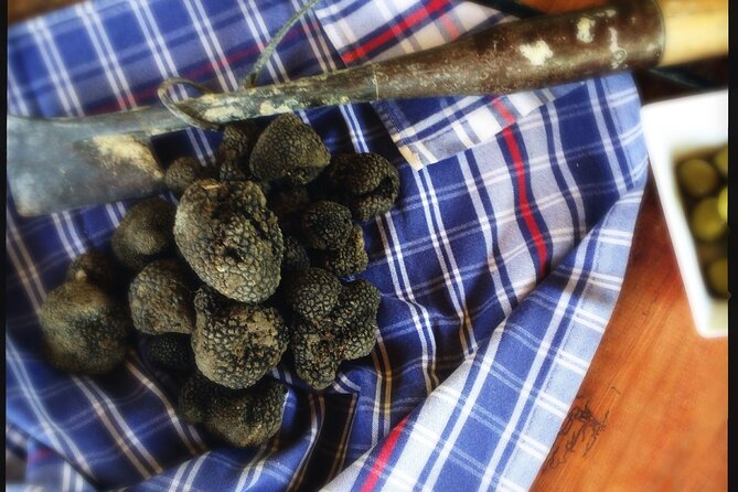 Truffle Hunting and Handmade Pasta Review - Since You Asked