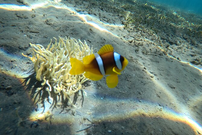 Try Scuba Diving Experience for Beginners in Hurghada - Cancellation Policy and Pricing Options