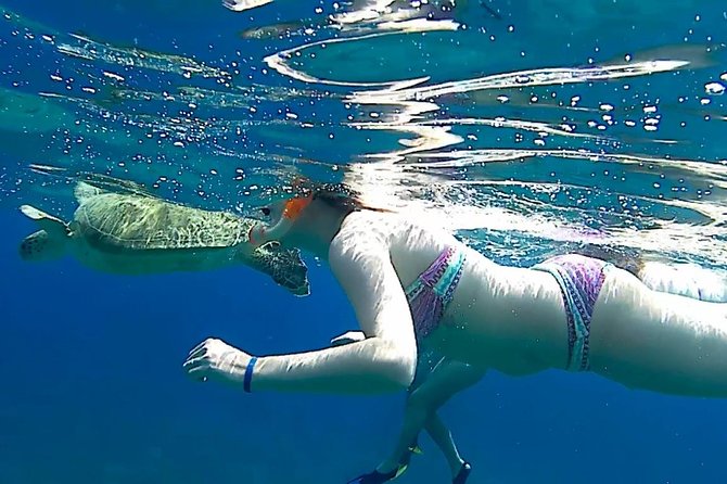 Turtles Bay, Swimming With Turtles Hurghada & Marsa ALAM - Tips for Your Visit