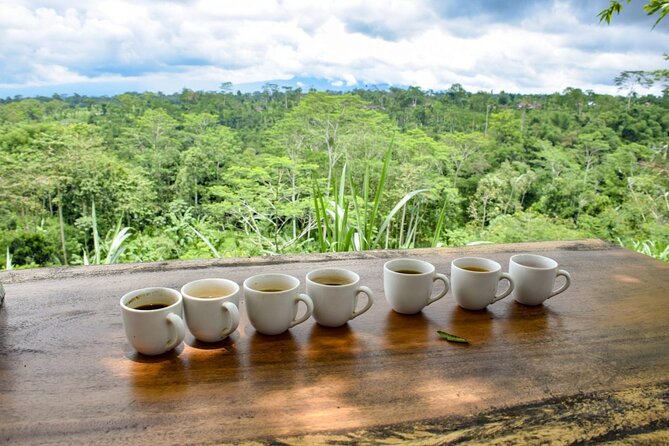 Ubud: Jungle Swing Private Tour and Volcano - Preparing for Your Adventure