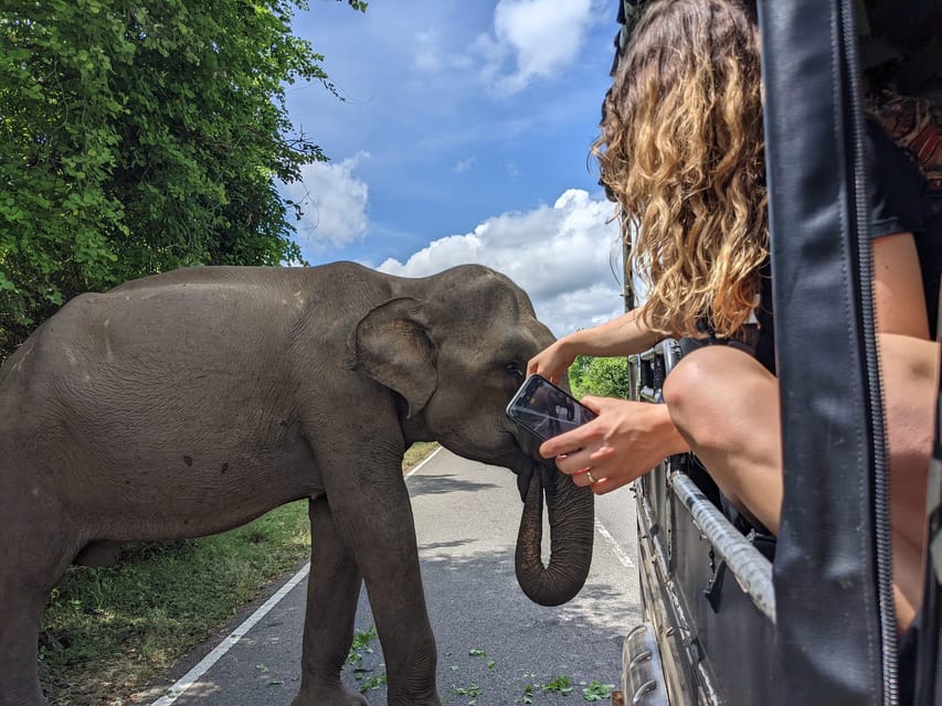 Udawalawa National Park - All-Inclusive Private Safari Tour - Culinary Experiences