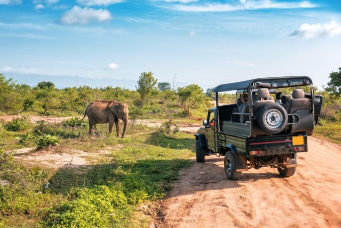Udawalawe National Park: Private 4 Hours Safari Trip - Booking and Reservations