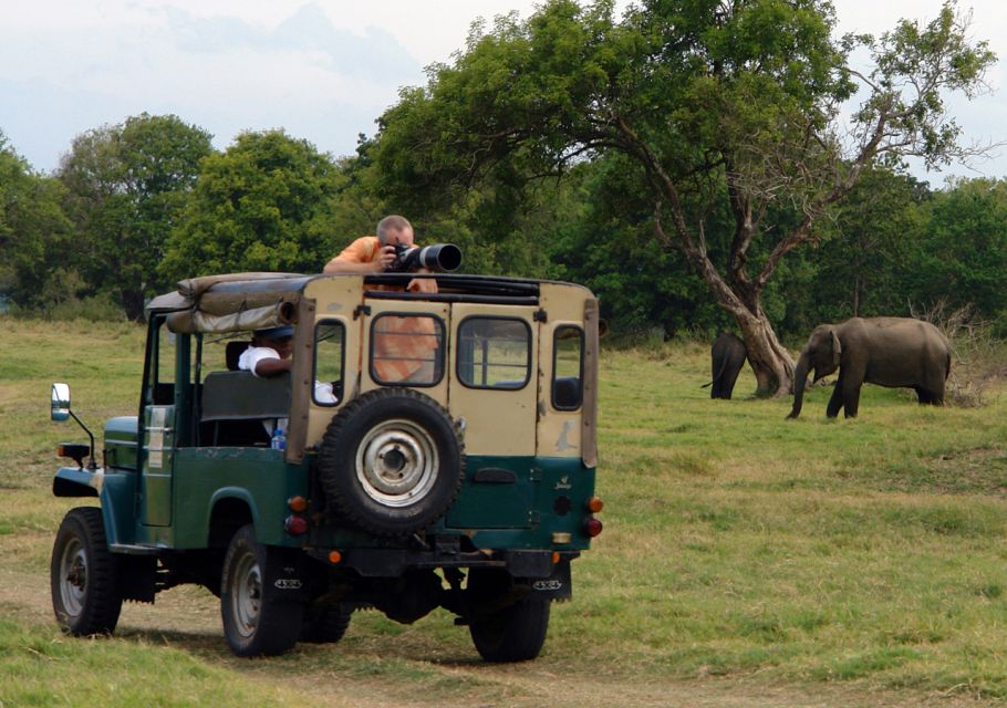 Udawalawe National Park Private Full-Day Safari - Customer Feedback