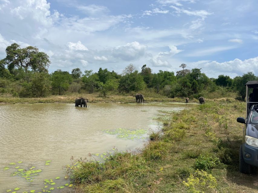 Udawalawe National Park Wildlife Safari From Galle - Frequently Asked Questions