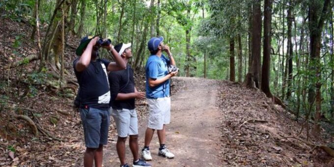 Udawatte Kele:Birdwatching and Nature Trekking Experience - Biodiversity and Features