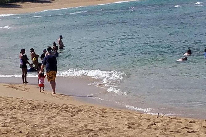 Ultimate Grand Oahu Circle Island Tour With Snorkeling and More - Commitment to Improvement