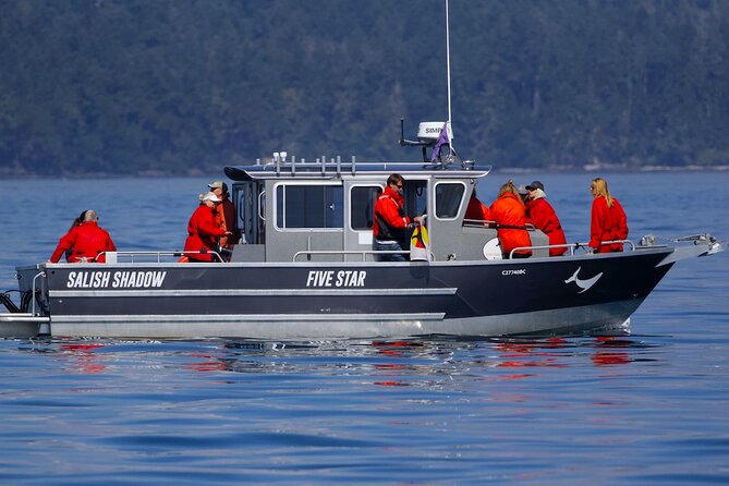 Ultimate Marine Whale & Wildlife Tour - Nearby Attractions and Activities