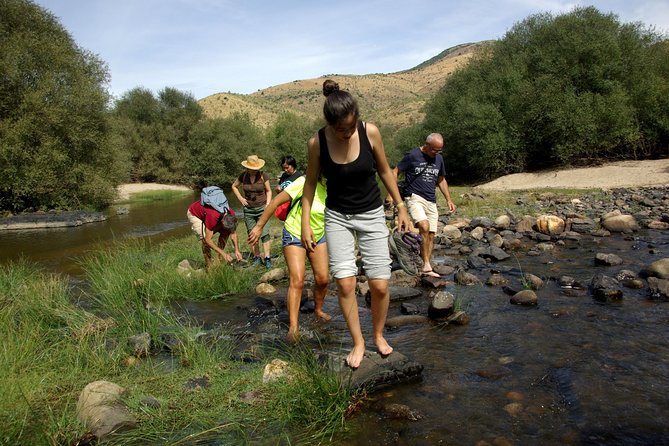 Upper Douro Walk & WineTour - Booking and Support Services