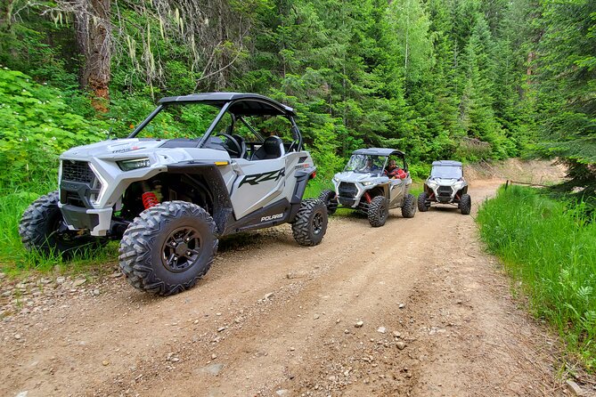 UTV Rental in North Idaho - Customer Reviews