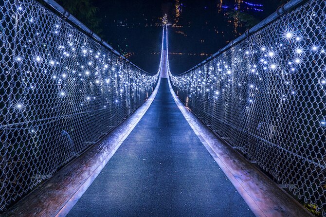 Vancouver Small Group Night Tour W/Capilano + Grouse Mtn Dinner - Seeing Grizzly Bears and Gondola Ride