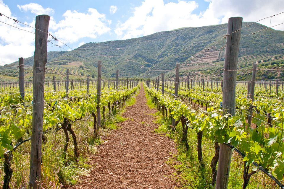 Vatolakkos, Crete: Organic Winery Tour With Tasting - Tour Duration and Cancellation Policy