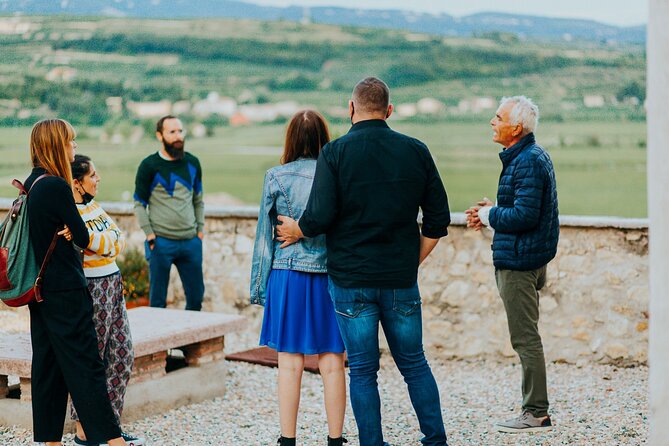 Venetian Villa Wine Tasting Tour Review - Exploring the Venetian Villa and Vineyards