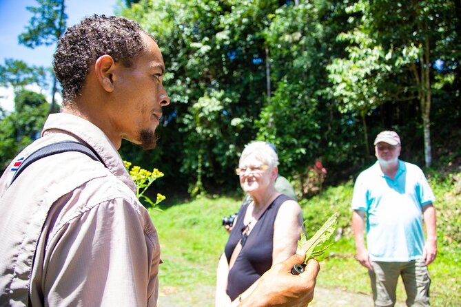 Veragua Rainforest Experience and Tram Ride in Puerto Limon - Tram Ride Through the Canopy