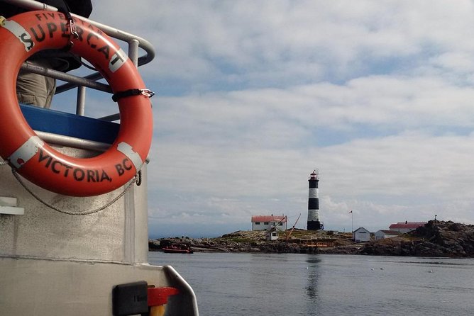 Victoria Shore Excursion: Whale-Watching Cruise With Expert Naturalist Guides - Marine Life Sightings