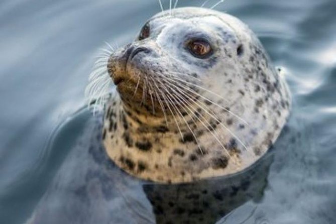 Victoria Sightseeing With Butchart Gardens and Whale Watching - Frequently Asked Questions