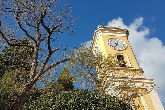 Villefranche Shore Excursion: 6 Hrs Private Tour of Nice, Eze and Monaco - Experience Monaco