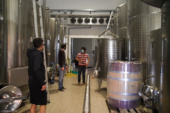 Vineyard Tour and Tasting of Lugana Wines - What to Expect on the Tour