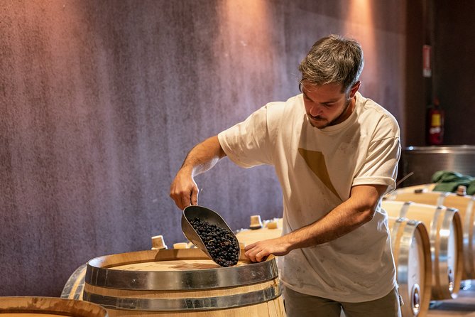 Visit and Wine Tasting at Tenuta La Cà - Accessibility Options