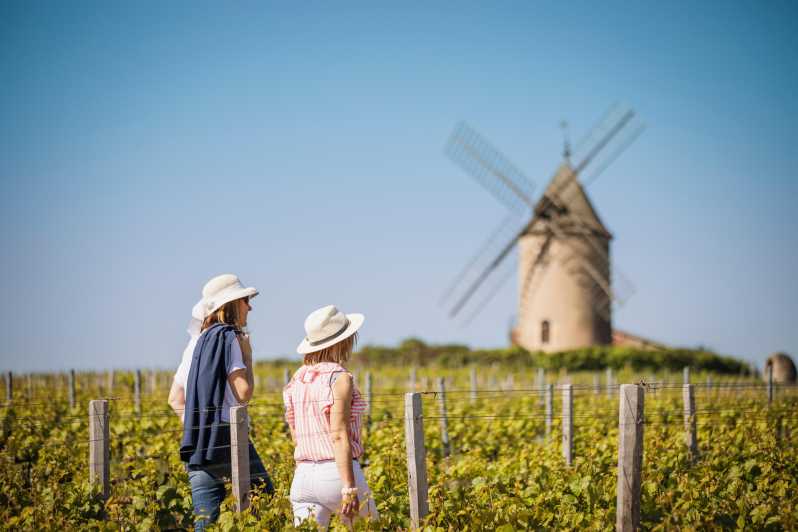 Visit: Château Du Moulin-À-Vent, a History of Terroirs! - Key Points