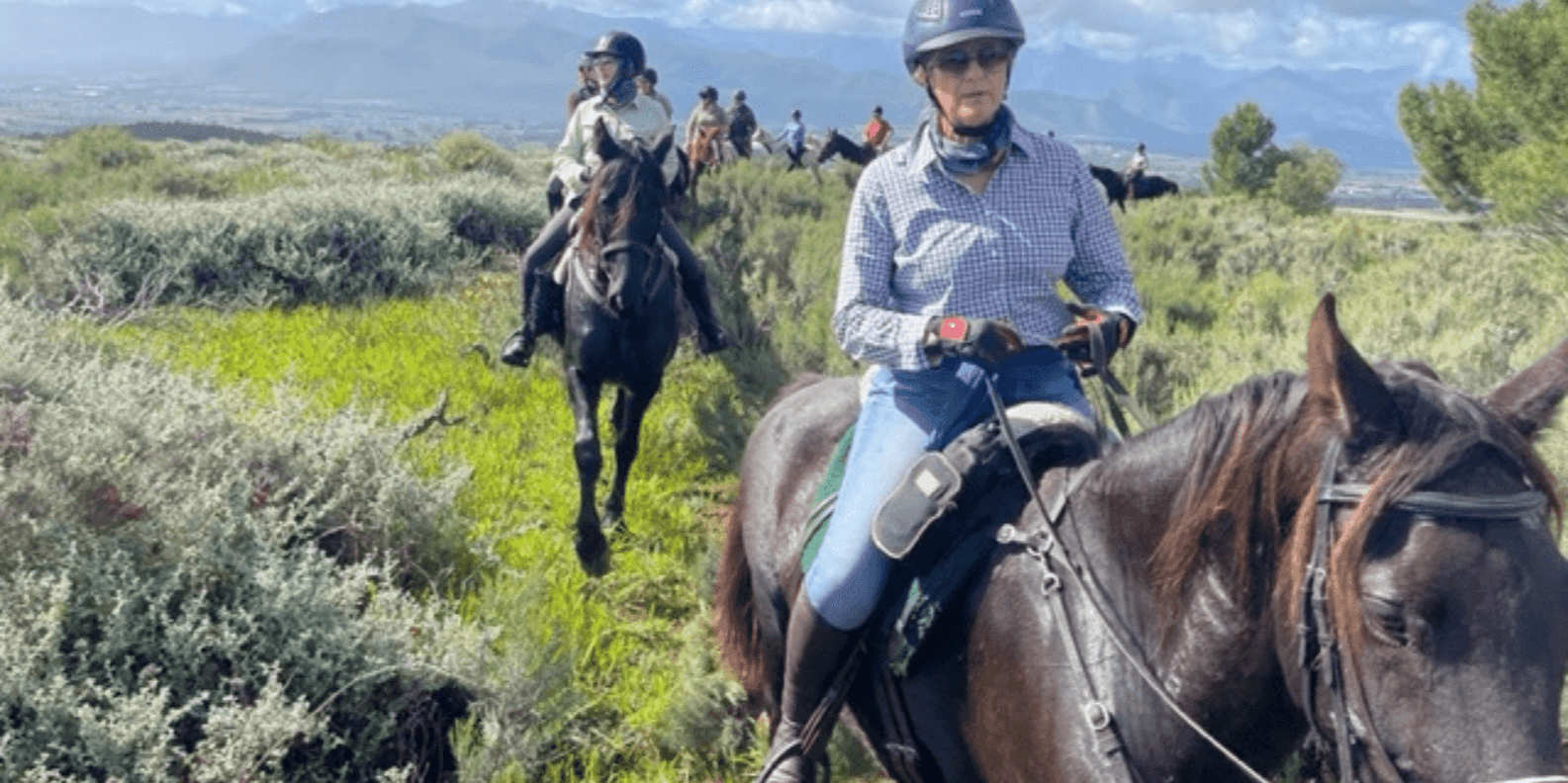 Vrede En Lust Wine Estate: 1H Breakfast Horse Trail - Exploring the Vrede En Lust Estate