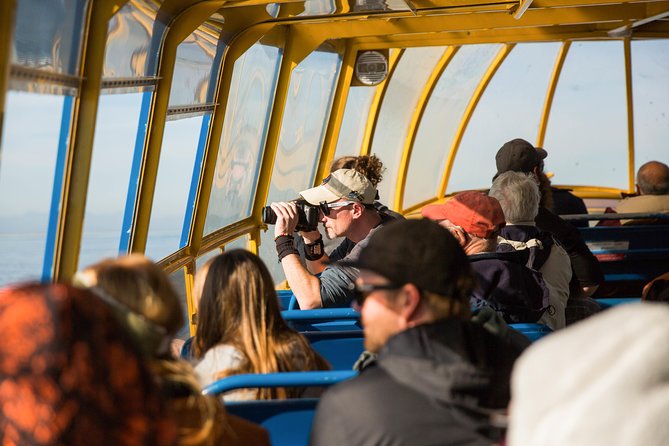 Whale-Watching Tour From Vancouver - Booking and Pricing
