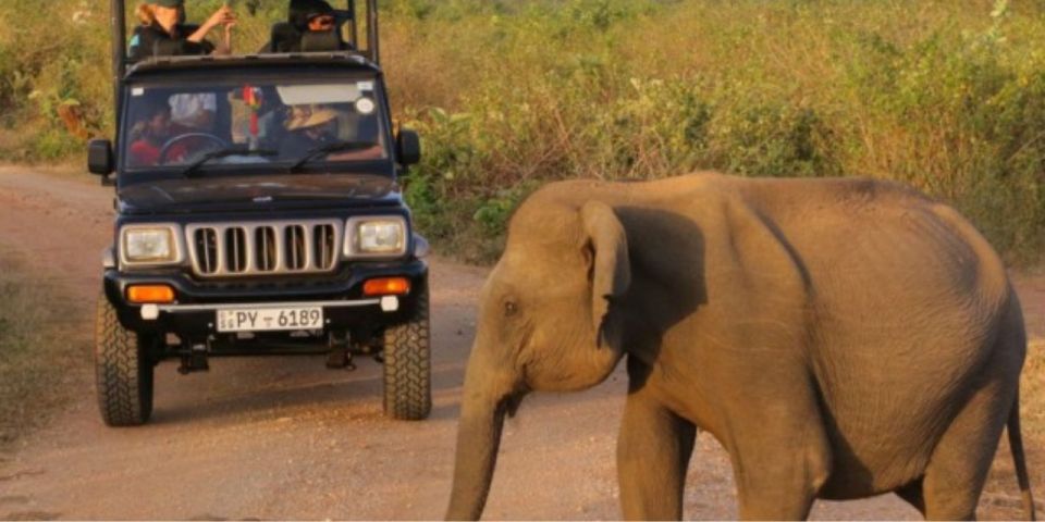 Wildlife and Beach Adventure: 5-Day Special - Convenient Pickup and Drop-off