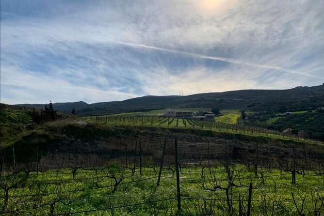 Wine at Stylianou Winery: An Exquisite Tasting Experience - Family-Run Boutique Winery