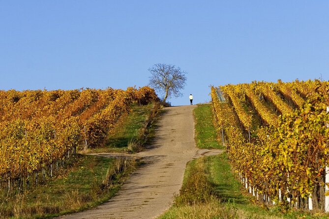 Wine & Food Tour in Sardinia : Small Group - Frequently Asked Questions